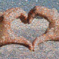 Mosaïque photo : des mains forment un coeur