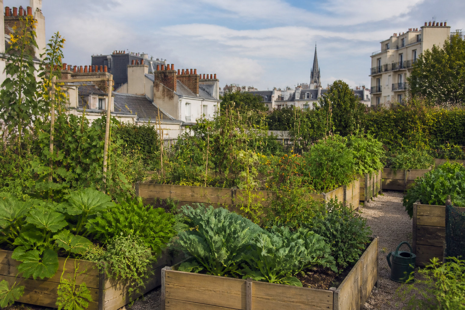 3 idées d'activités environnementales pour agir localement