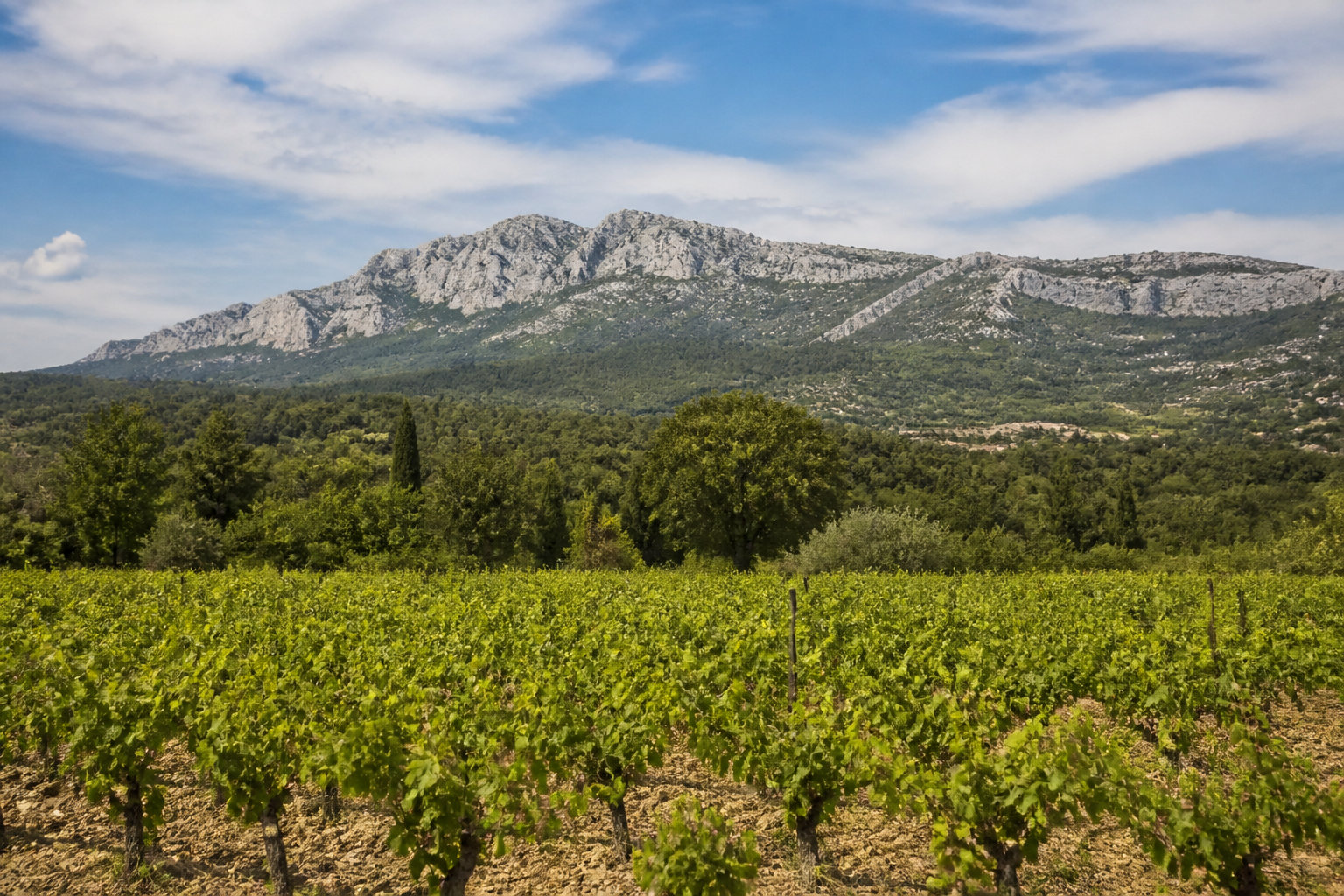 Vignobles aixois : le team building œnologique sur mesure