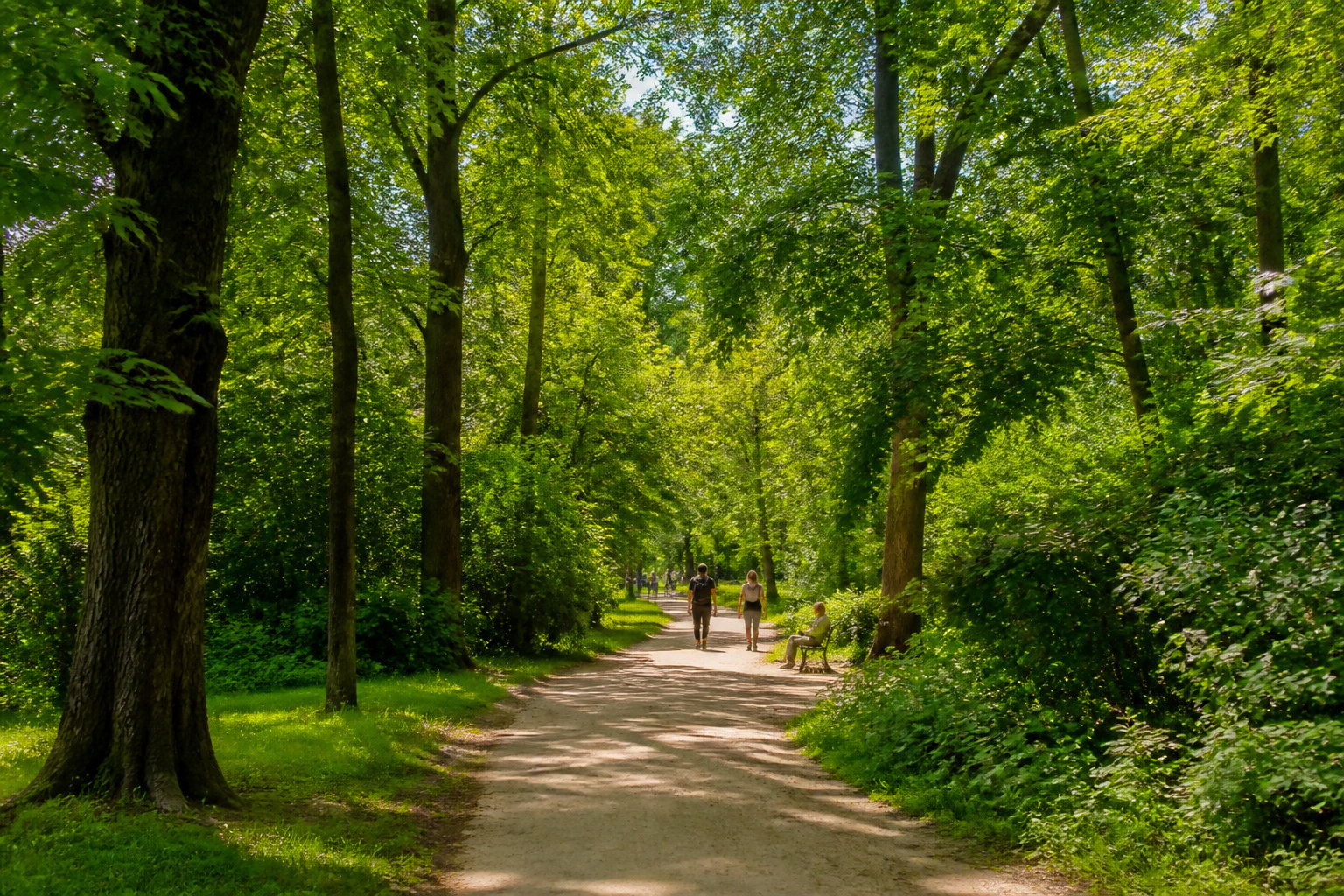 Le rallye biodiversité : immersion au cœur du Bois de Vincennes