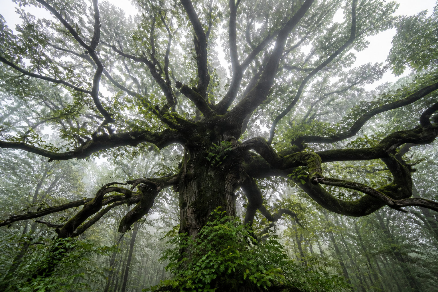 Natur'o Top : les rallyes RSE en milieu naturel