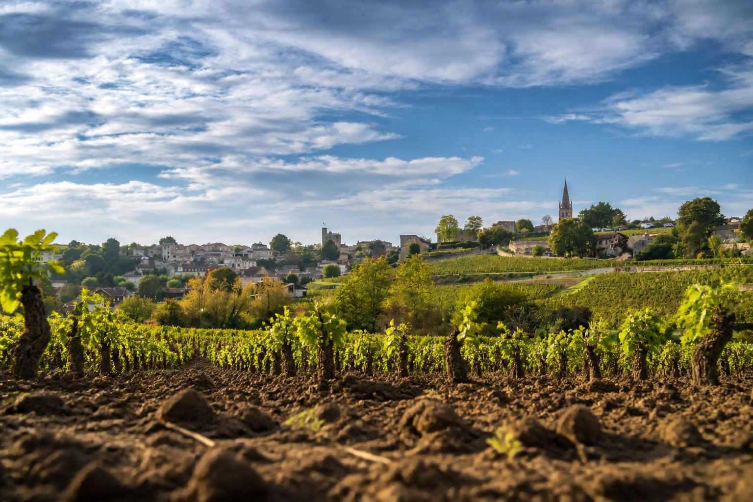 Le rallye vélo pour explorer les vignobles